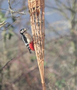 A long cone shaped willow bird feeder with a woodpecker on its side and a robin inside it