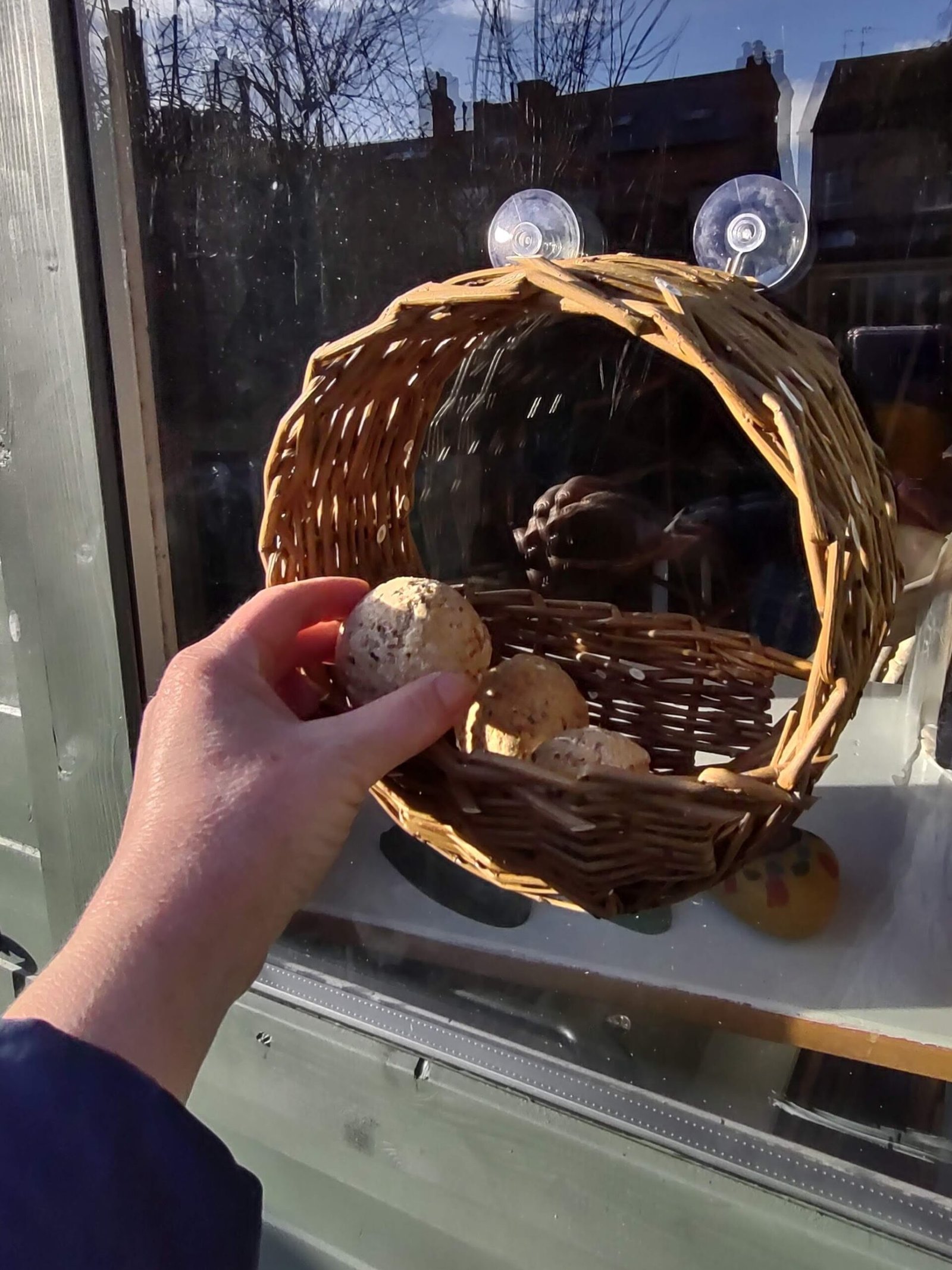 a human hand putting a suet ball into a window mounted, willow bird feeder