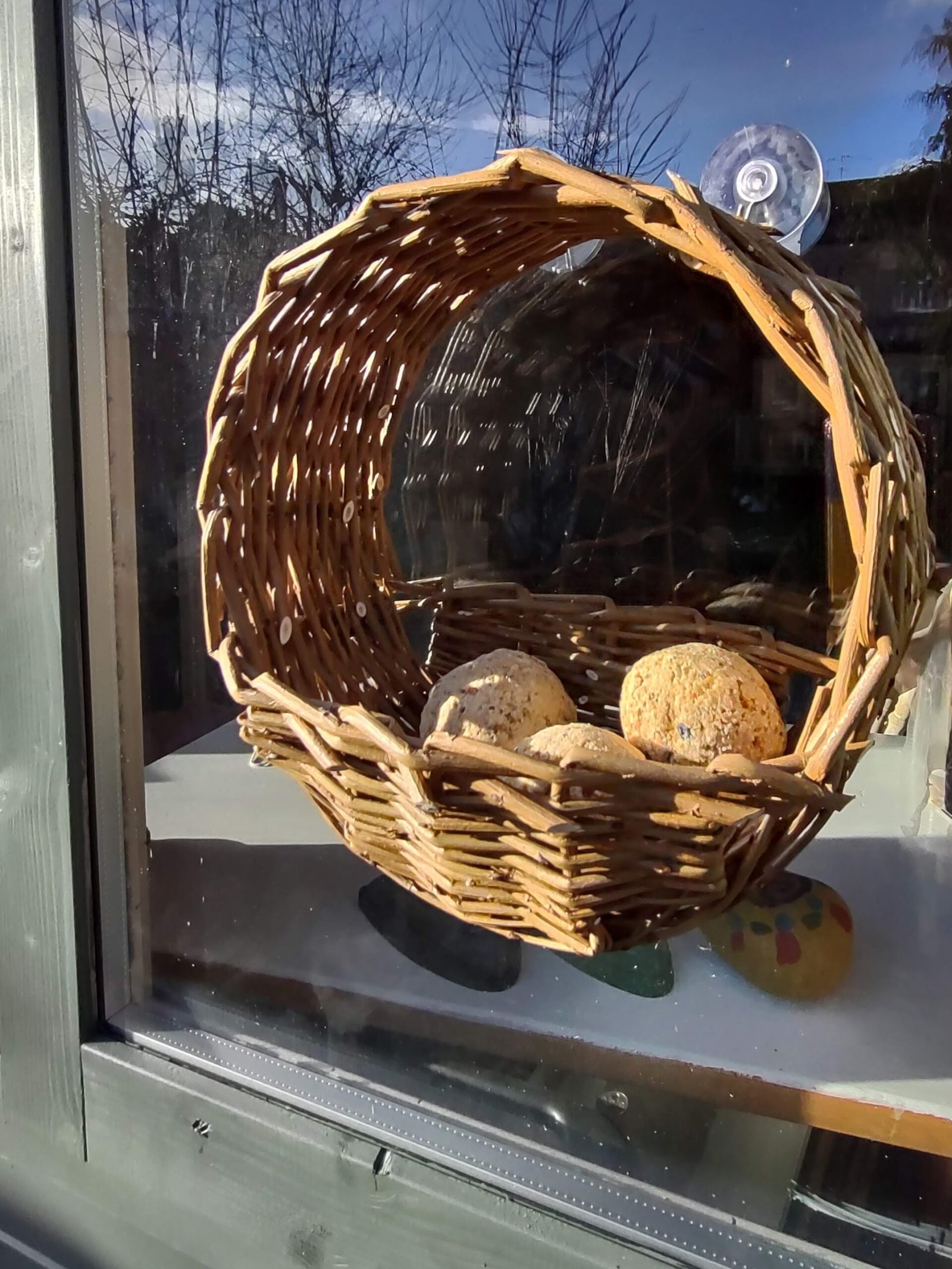 circular, willow, window mounted bird feeder with suet balls in it, fixed to a window