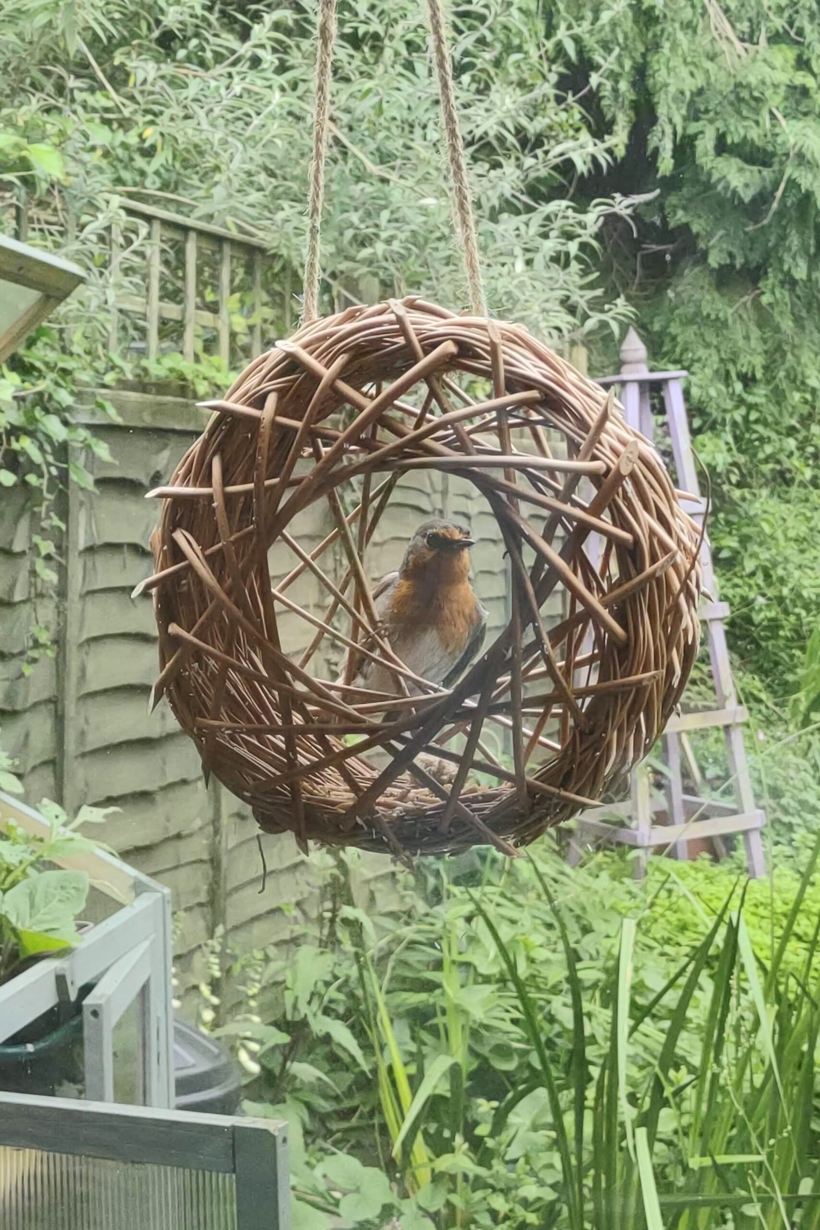 circular willow bird feeder with a robin in it.