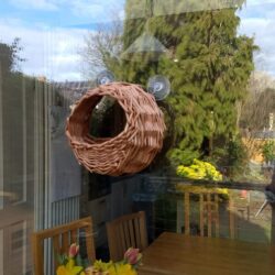 window mounted willow bird feeder