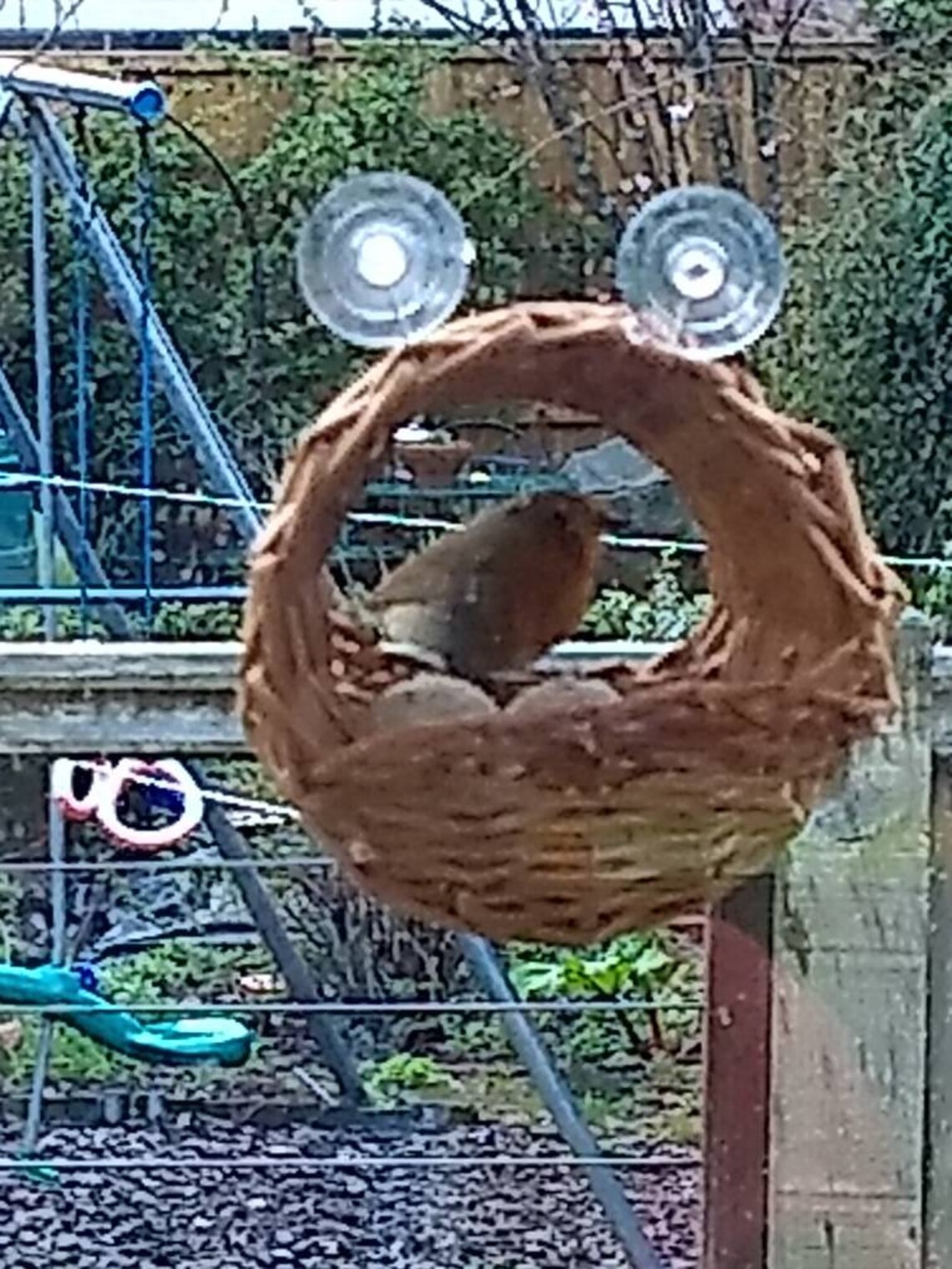window mounted willow bird feeder - Image 2