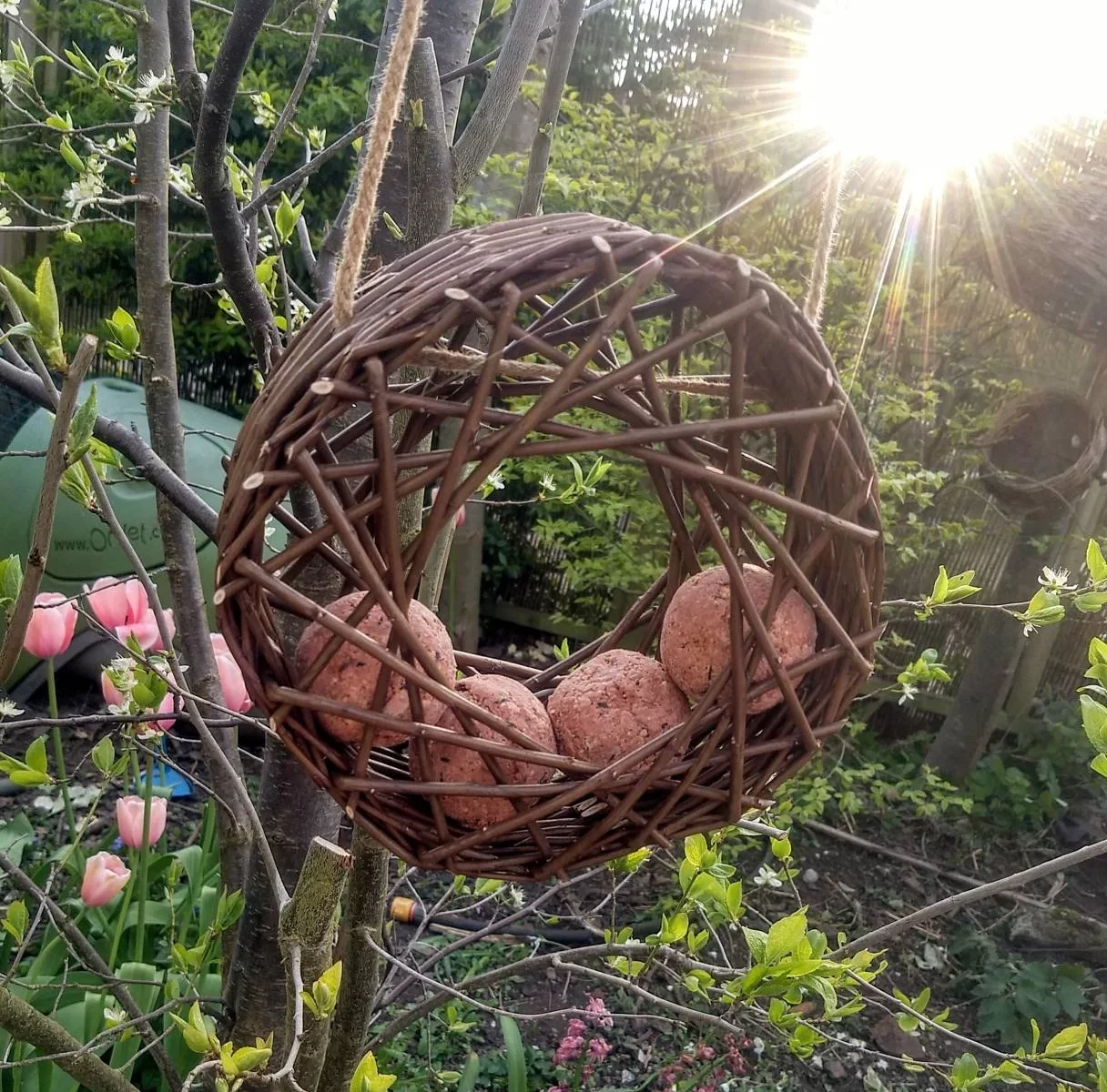 dark brown circular willow board feeder hanging from a tree