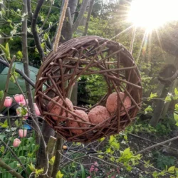 dark brown circular willow board feeder hanging from a tree