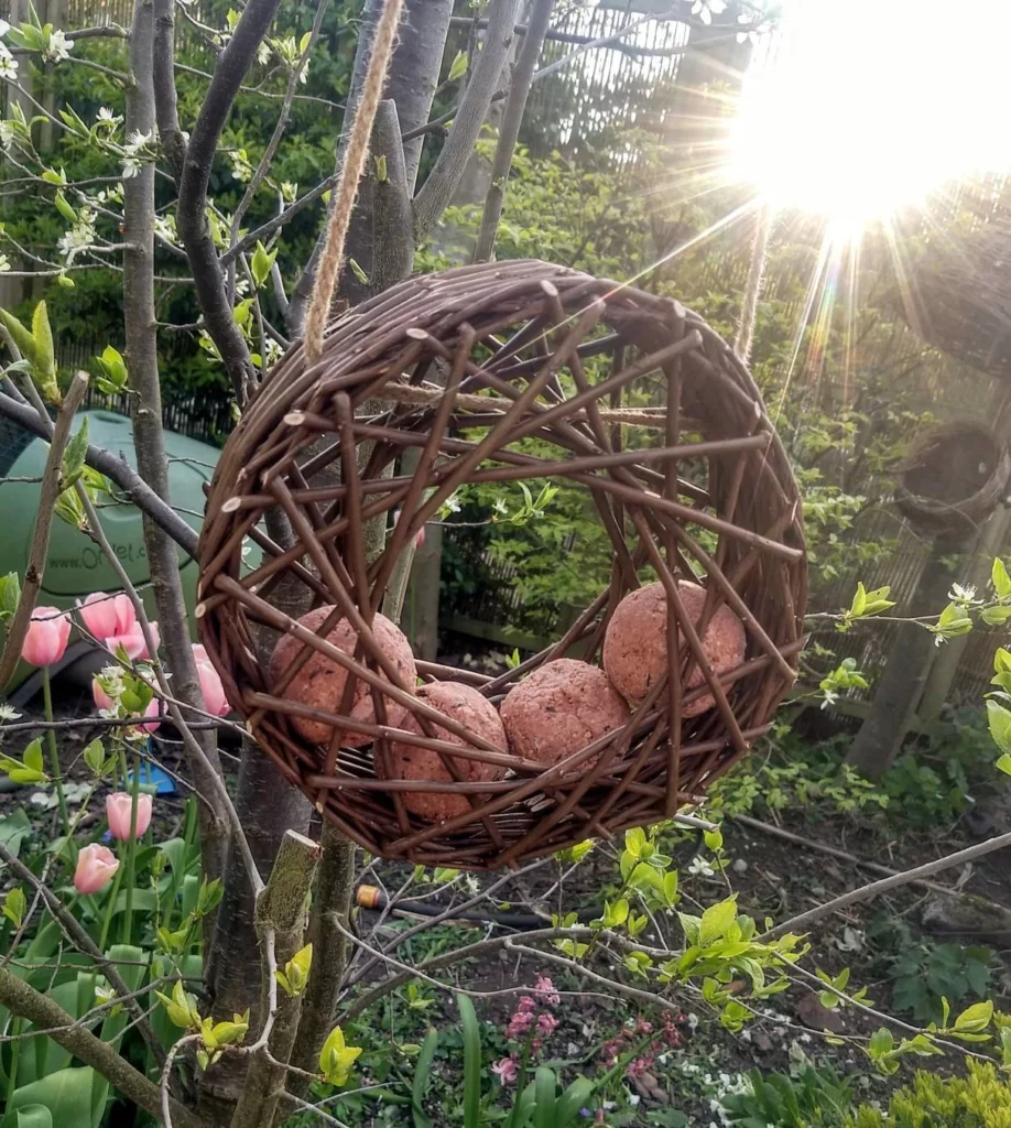 dark brown circular willow board feeder hanging from a tree