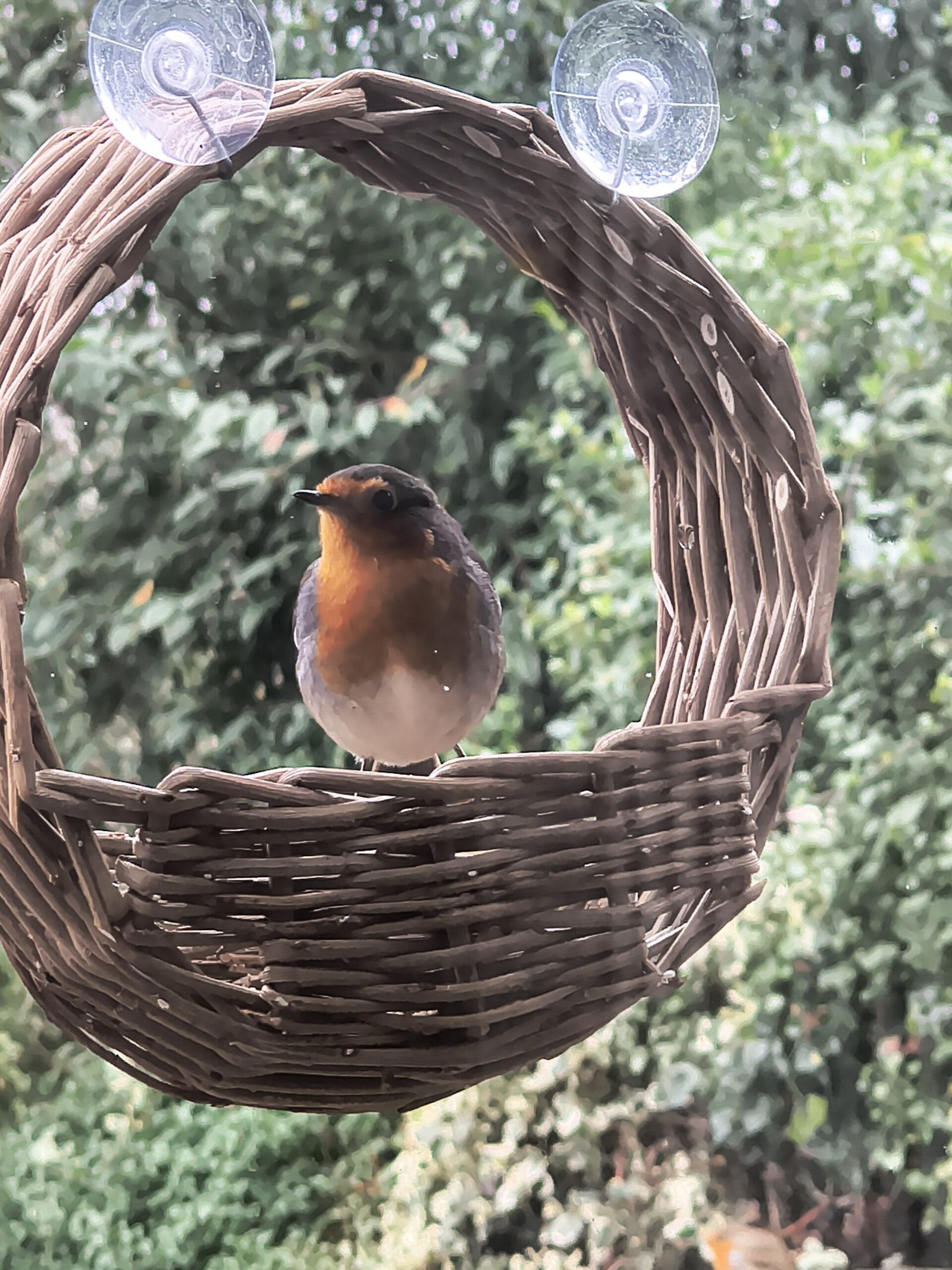 circular bird feeder made from willow